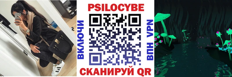 Галлюциногенные грибы Magic Shrooms  где можно купить наркотик  Вышний Волочёк 