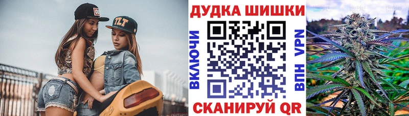 закладка  Вышний Волочёк  Конопля планчик 
